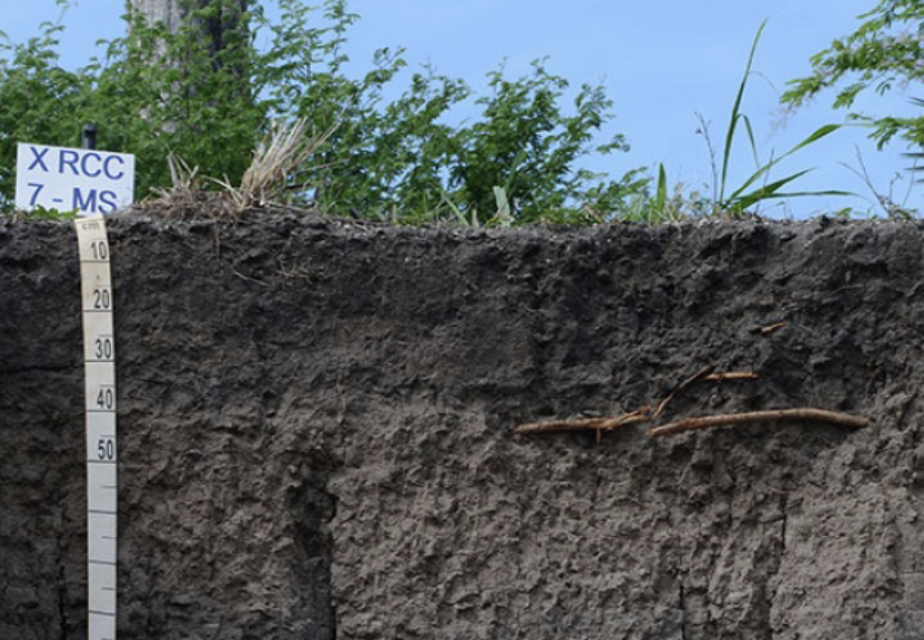 tipos de solo no brasil - chernossolo - ourogran