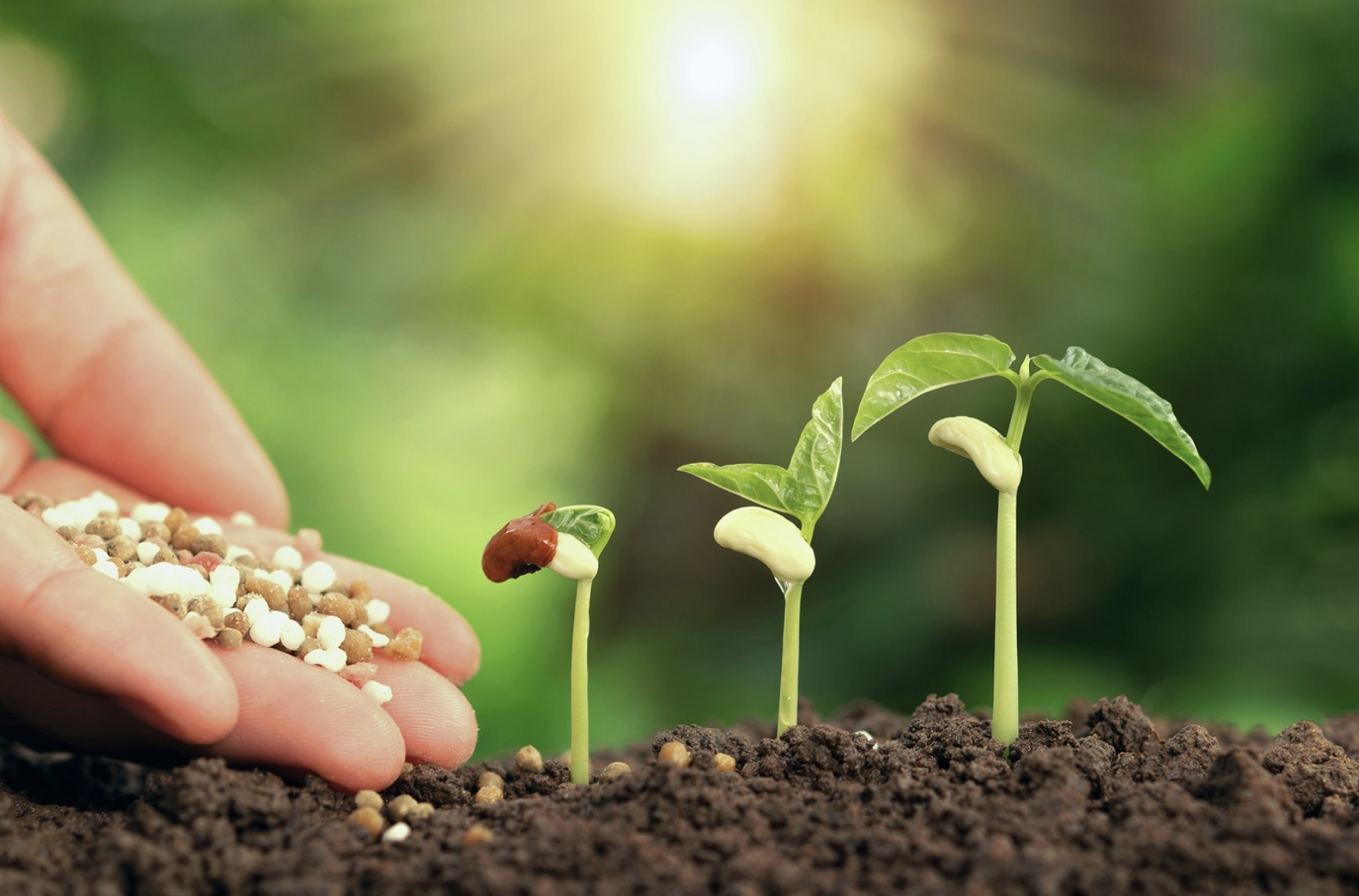 diferença entre fertilizante e agrotóxico - ourogran