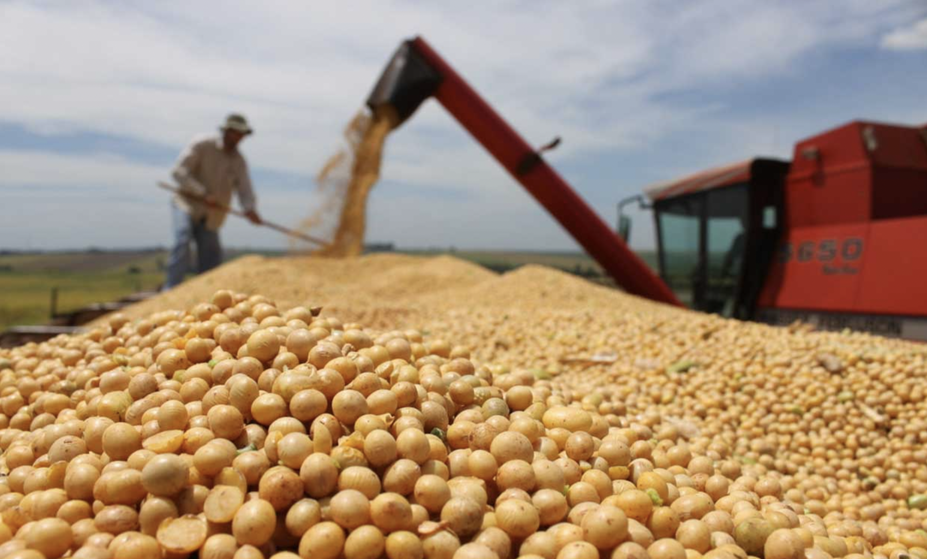 mercado agrícola brasileiro - guerra na ucrânia - ourogran