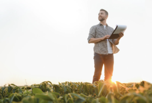 revenda agrícola - ourogran