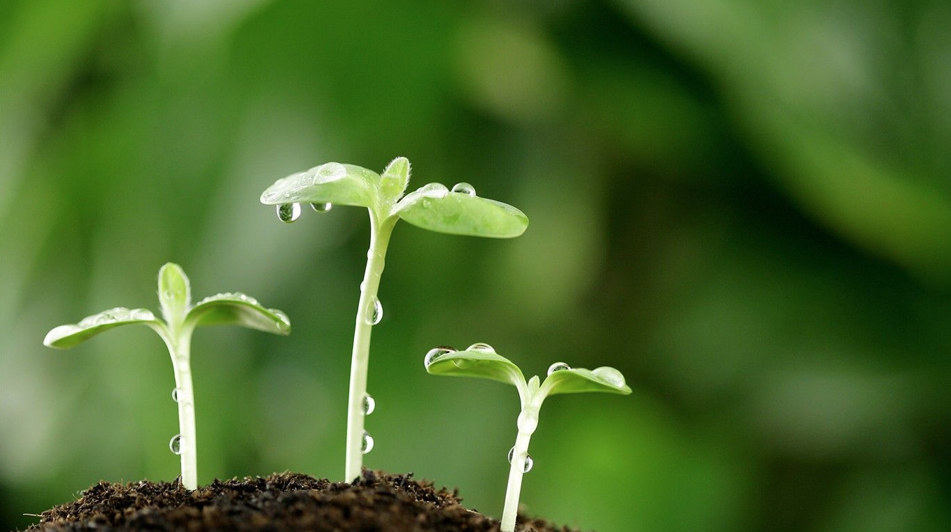 fertilizante com cálcio - ourogran